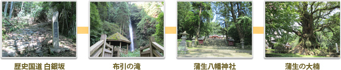 白銀坂―布引の滝―八幡神社―大楠